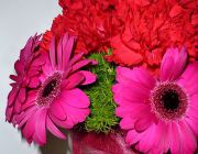 001-Hochzeit-Ramona-Angelo