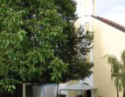 003-Hochzeit-Sarah-Patrick