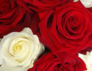 005-Deko-Hochzeit-Taufe