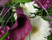 008-Hochzeit-Sarah-Patrick